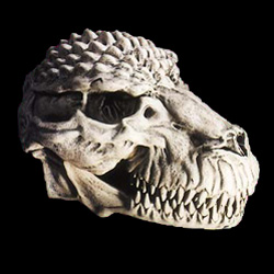 A Cool Dino Skull